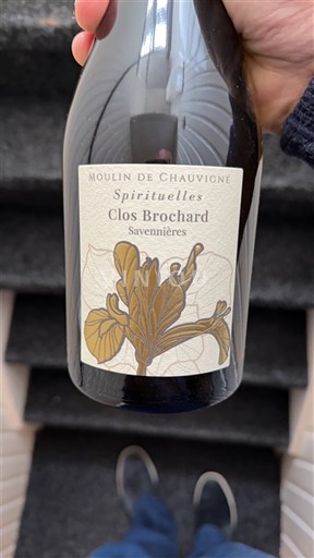 Loiren laakso Savennières Moulin de Chauvigné Spirituelles Clos Brochard 2024