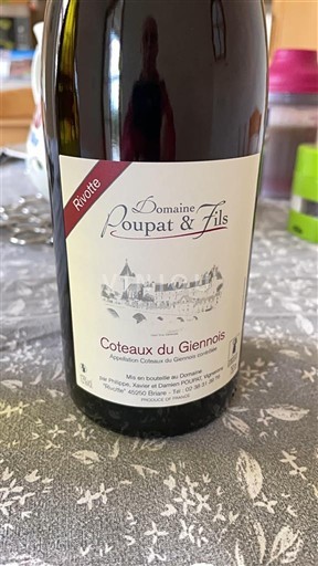 Vale do Loire Coteaux-du-giennois Domaine Loupat & Fils Rivière 2023