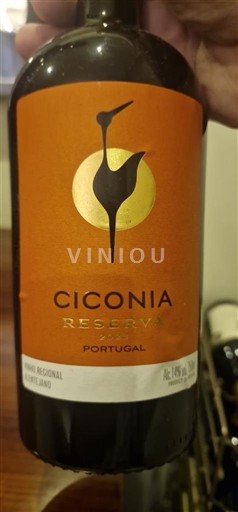 Алентижу Алентейжу CICONIA RESERVA 2020