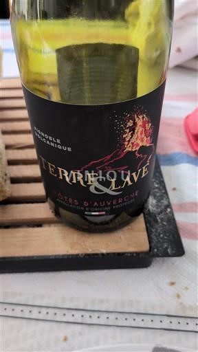 Valle del Loira Côtes de Auvernia Terre & Lave 2022