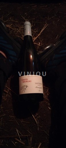 Burgundy Santenay David Moreau 2023