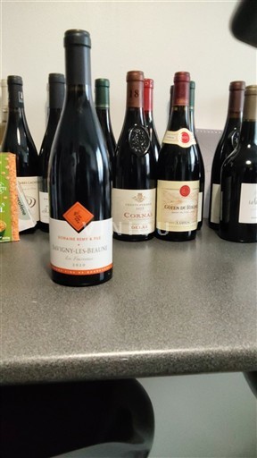 Borgonha Savigny-lès-Beaune Domaine Rémy & Fils Les fourneaux 2020