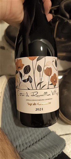 Roussillon Côtes del Roussillon Villages Syrah-Grenache 2024