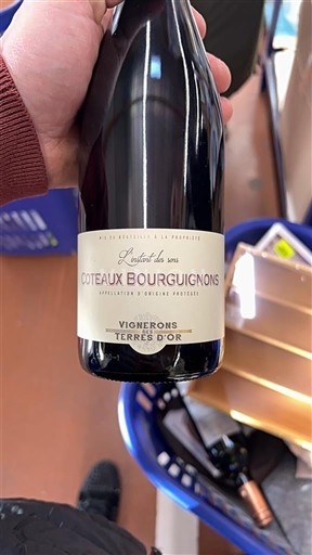 Bourgondië Bourgondische heuvels Vignerons Terres d'Or Signature des sens 2023