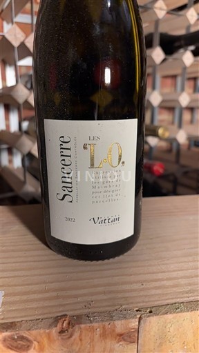 Valle della Loira Sancerre Vattan Les L.O. 2022