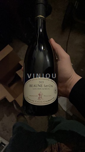 Burgundy Beaune Premier Cru Domaine Coste-Caumartin Les Croix Blanches 2023