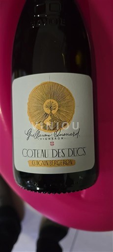 Viner Blanc sec Coteau des Ducs Guillaume Quenard 2022 Frankrike Savoie och Bugey Chignin-Bergeron AOC