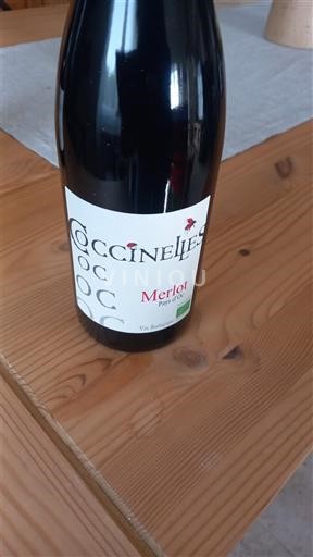 Languedoc a Roussillon Pays d'Oc Coccinelle Merlot 2023