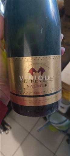 Vallée de la Loire Saumur Depréville Non Millésimé