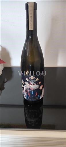 Vinhos Blanc sec La Sorga (cuvées graphiques) Domaine La Sorga 2024 França Languedoque Não especificado AOC