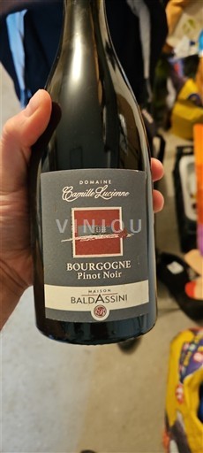 Bourgogne Domaine Camille Lazenne 2019