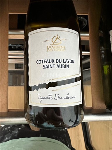 Loire Valley Not Specified Domaine S Forges Vignoble Branchereau 2023