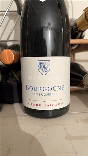 Bourgogne Pierre Naigeon Les Combes 2019