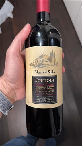 Toscana Chianti Classico Fontodi Vigna del Sorbo 2019