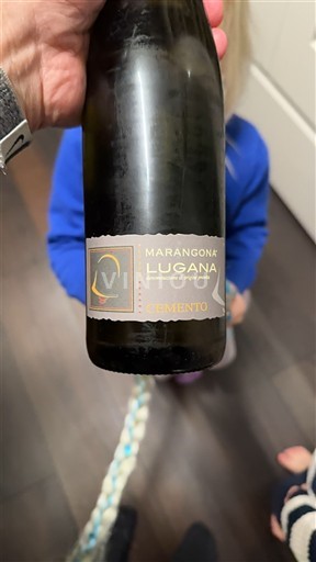 Ломбардія Лугана Marangona Cemento 2021