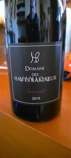 Loiren laakso Touraine Domaine S Hauts Baigneux Sanguine 2019