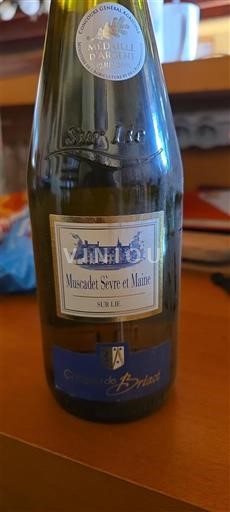 Loire-dalen Muscadet-Sèvre-et-Maine Château Briacé 2017