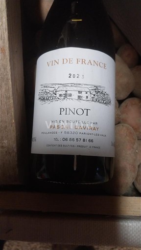 Бургундія Не вказано Pascal Daviray Pinot 2023