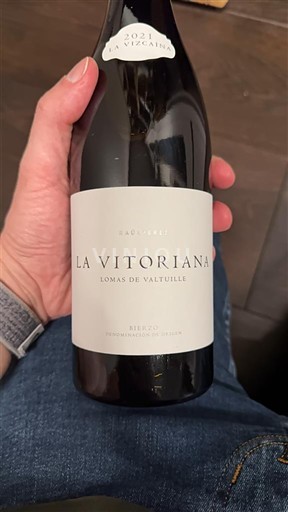 Кастилія і Леон Б'єрсо La Vizcaína La Vitoriana Lomas de Valtuille 2021