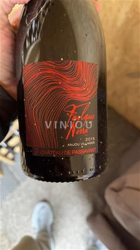 Loire Valley Anjou Villages Château Passavant Futique Nera 2015