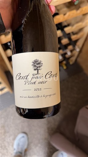 Bourgogne Cent pour Cent Pinot noir 2022