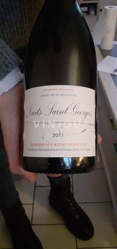 Burgundija Nuits-Saint-Georges Domaine Guy & Sylvain Dufouleur 2011
