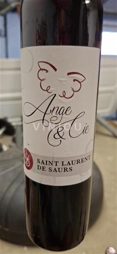 Sud-Ovest Non specificato Saint Laurent de Saurs Ange & Cie 2021