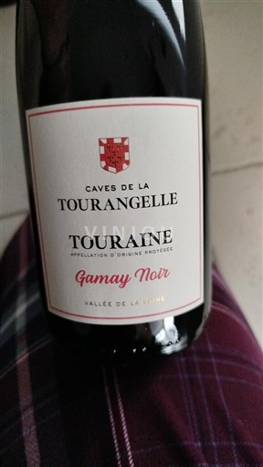 Vallée de la Loire Touraine Caves de la Tourangelle Gamay Noir Non Millésimé