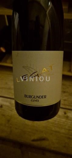 Štajerska Južna Štajerska DAC Legat Burgunder 2024