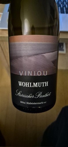 Štajerska Južna Štajerska DAC Wohlmuth Steirischer Panther 2024