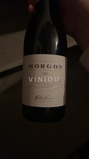 Beaujolais Morgon Petite Venise 2023