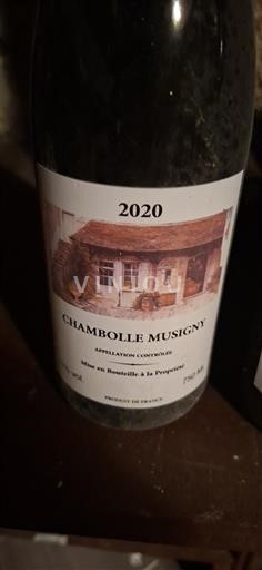 Borgonha Chambolle-Musigny Samuel Ricci 2020