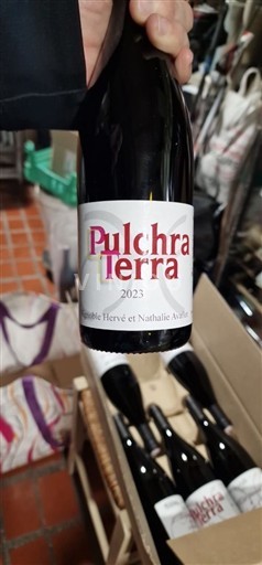 Vinhos Rouge sec Pulchra terra Pulchra Terra 2023 França Languedoque Não especificado AOC