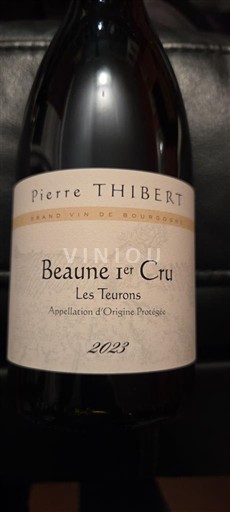 Burgundi Beaune Premier Cru Pierre Thibert Les Teurons 2023