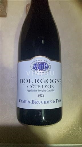 Burgundy Burgundy Côte d'Or Camus-Bruchon & Fils Récoltant -Camus Bruchon & fils 2022