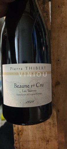 Burgundi Beaune Premier Cru Pierre Thibert Les Teurons 2024