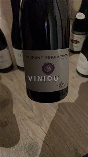 Beaujolais Morgon Laurent Perrachon et Fils Côte du Py 2022