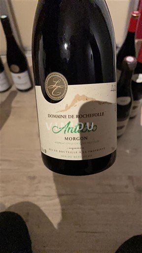 Beaujolais Morgon Domaine Rochefolle Antibio 2022