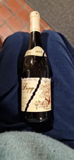 Savoie ja Bugey Bugeyn viinialue Maison Angelot Reflet du terroir 2025