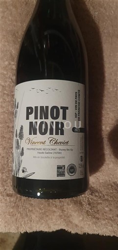 Loire Valley Vincent Choblet 2021