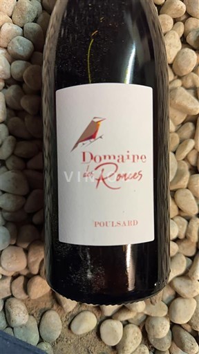 Jura Côtes-du-Jura Domaine S Ronces Poulsard 2023