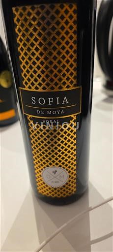 Valenciaregionen Valencia De Moya Sofia 2018