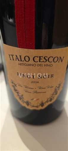 Veneto Italo Cescon 2016