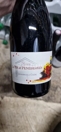 Languedoc Domaine La Tour Penedesses Les Raisins de la Colère 2021