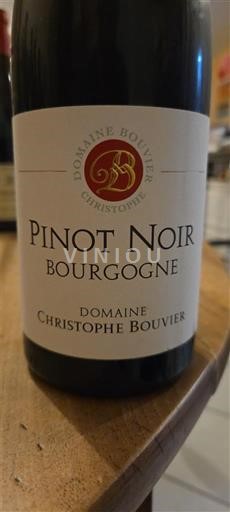Bourgogne Domaine Christophe Bouvier Pinot Noir 2022