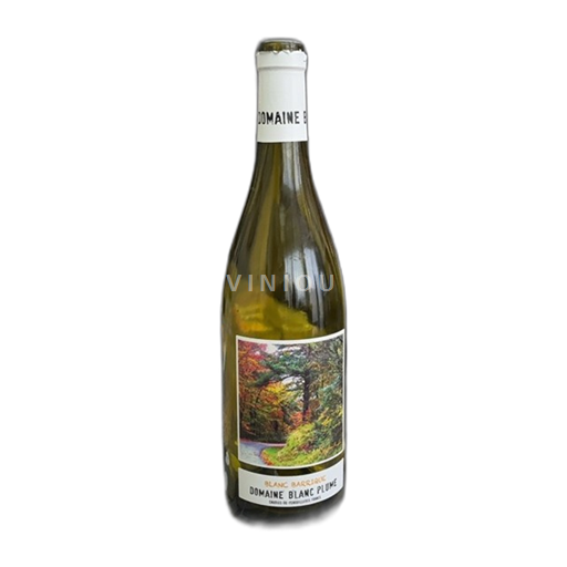 Zuidwest-Frankrijk Sudwest-Frankrijk Domaine Blanc Plume Blanc Barrique Niet-geïntegreerd