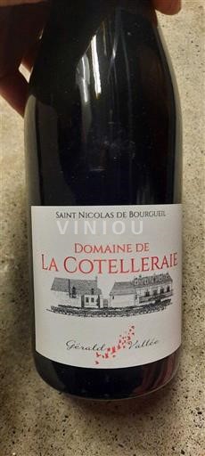 Loiretal Saint-Nicolas-De-Bourgueil Domaine La Cotelleraie Ohne Jahrgang