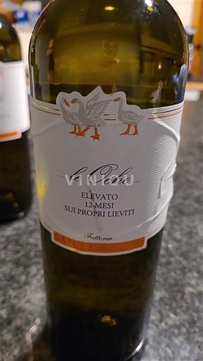 Toscana Fattoria San Giorgio le Oche 2023