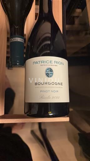 Bourgogne Patrice Rion Pinot Noir 2023
