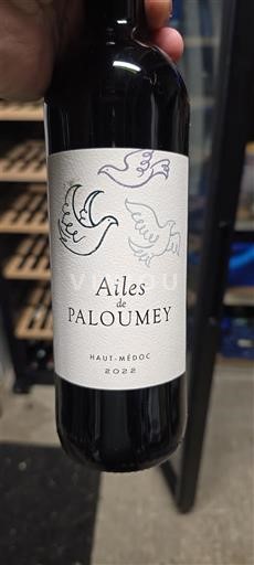 Bordeaux Haut-Médoc Château Paloumey Ailes de Paloumey 2022